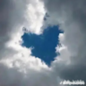 Meet your Posher, Meminiturtle & cramicool123